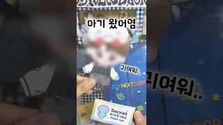 시크릿으로 보넥도 종이인형 등장! 운학 종이인형 만들기