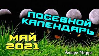 Лунный посевной календарь на Май 2021. Посев овощных и цветочных растений