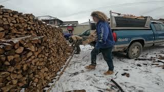 Where you lose money selling firewood