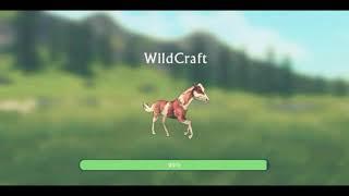 |ILKA| Аккаунт в Wild Craft|200 LVL!
