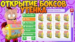 ОТКРЫТИЕ БОКСОВ УТЕНКА В АДОПТ МИ НОВЫЙ БОКС В ADOPT ME DUCKLING BOXES OPEN