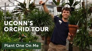 UConn's ORCHID GREENHOUSE Tour — Ep. 418