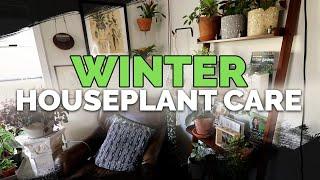 13 Winter Houseplant Care Tips ️