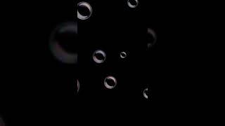 Song