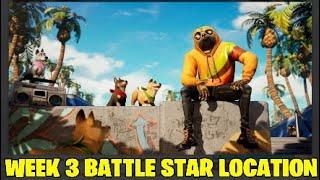 Fortnite week 3 battle star Location.NEW DOG SKIN!!