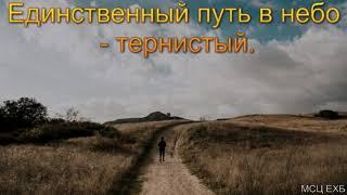 "Единственный путь в небо - тернистый". А. Н. Елисеев. МСЦ ЕХБ.