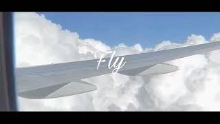 Adnino51 - Fly