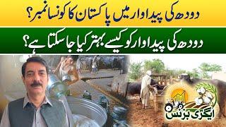 How Can Milk Production Be Improved? Agri Bussines | 27 Dec 2024 | Rohi