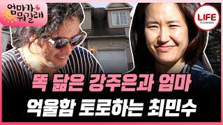 [#엄마가뭐길래] 사위 사랑은 장모님?! 용돈 올려주라는 장모님, 그동안 설움 토해내는 최민수 (TV CHOSUN 161006 방송)