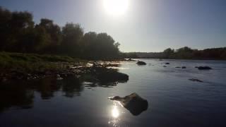 The river in Alvega