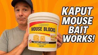 The Pest Dude Reviews Kaput Mouse Bait- It Works on Rats Too!