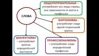 Общеупотребительные слова/ Диалектизмы/ Профессионализмы/  Жаргонизмы/