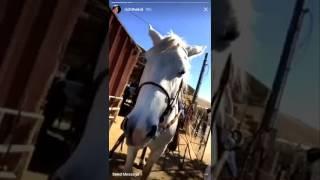 Rich The Kid adopts a Horse  lol