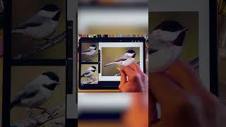 Drawing a Bird Using Basic Shapes #shorts #drawingshorts #birddrawing