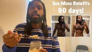 Sea Moss Gel Benefits After 90 Days - My Review