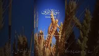 Quran education #arfaat #pakistan #suraha #holybook #islamicstatus @Quraneducation321