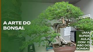 Bonsai and Art: A Lesson with Mac Fernandes