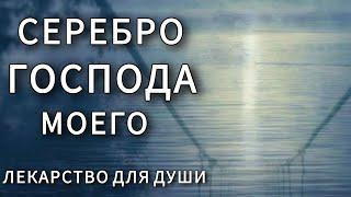 "Серебро Господа моего". Лекарство для Души