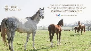 Visit with Tiz the Law's dad at WinStar Farm