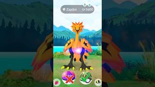 This ball is better than master ball #shorts #galarian #zapdos #ultragoo #masterball #safariball