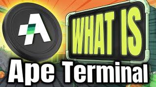 What is APE TERMINAL? Get Early Access in HUGE Crypto Projects 