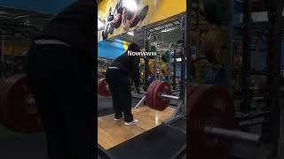 Bear Grips Lifting Straps