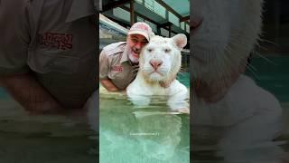 Animals Remember Kindness Forever 
