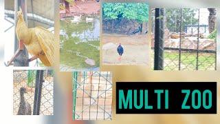 Multi zoo ka kia visit | vlog kisne banaya ?| 3 nasal ke sher #multizoo