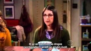 Agymenők (The Big Bang Theory) - The Zarnecki Incursion 3