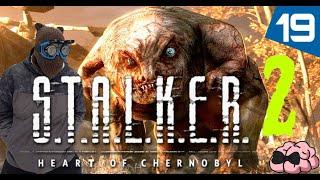 STALKER 2: Heart of Chornobyl  Ты меня уже достал, рукаопый стручок  19 серия