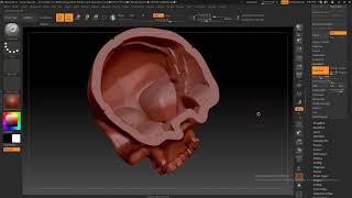 Поднутрение , выборка , скорлупа в ZBrush 2018