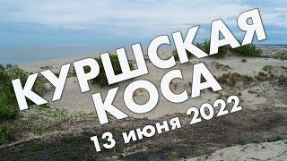 Куршская Коса: высоты Мюллера и Эфа, Королевский бор, Зеленоградск – обзор путешествия 2022