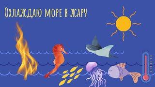 Как быстро охладить морской аквариум в жару