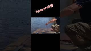 Отдых-Рыбалка на севере. РУТУБ:https://rutube.ru/video/93f6d13d3a0f22e1f7a2552b813127c5/?r=a