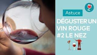 Comment déguster un vin rouge #2 : le nez | Les astuces du Petit Ballon