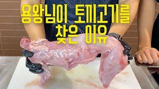 토끼 고기는 정말 맛있을까?