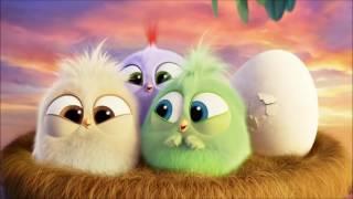 Энгри Бердс мультики для детей  ЗЛЫЕ ПТИЧКИ Angry Birds funny c