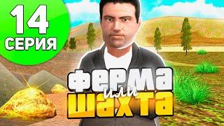 Где ВЫГОДНЕЕ РАБОТАТЬ?‍️ШАХТА или ФЕРМА ЛЬНА и ХЛОПКА - ПУТЬ БОМЖА на РОДИНА РП #14 (родина крмп)