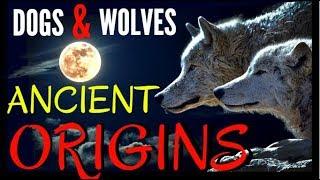 Dogs & Wolves - Ancient Origins and Strange Beliefs ~ with David Ian Howe