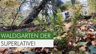 1.200 m² Waldgarten ökologisch aufgewertet – 120 Arten, 15.000 Pflanzen!