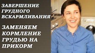 Завершение грудного вскармливания. Ч.1 Заменяем кормление грудью на прикорм. Мой опыт.