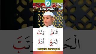 Cara Waqof (Berhenti) Pada Huruf Qolqolah Bertasydid