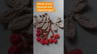 Какая лучше Красная или Черноплодка ? #вязание#вязаниекрючком#мквязание#видеомк#рукоделие