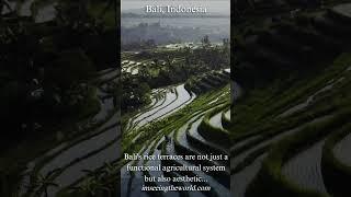 Explore the Breathtaking Bali Rice Terraces #imseeingtheworld.com