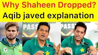 Why Shaheen drop from ODI ? Aqib Javed explain about Babar and Shaheen Afridi