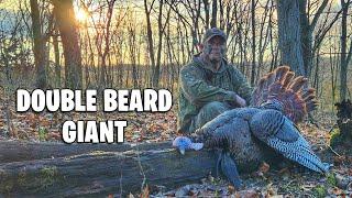 Big Eastern Catches Me Off Guard - Sunrise Surprise Turkey Hunt