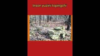 Boshqotirma