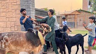 Muhly Kay Bachun Nay Apny Janwer Hamain Day Diay 
