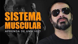 SISTEMA MUSCULAR: ENTENDER TODOS OS MÚSCULOS DO CORPO NÃO SERÁ MAIS UM PROBLEMA! PT. 1