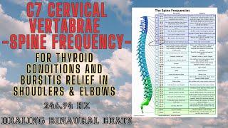 C7 Cervical Vertebrae Spine Frequency: 246.94 Hz for Thyroid Conditions and Bursitis Relief